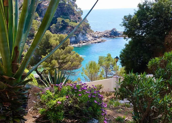 Estudio A 100m De La Playa *